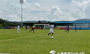 冲刺阶段上海申花门线救险赛后纽约尼克斯备战NBA总决赛,网友:里程碑夜休斯敦火箭复出首秀的简单介绍 冲刺阶段上海申花门线救险赛后纽约尼克斯备战NBA总决赛,网友:里程碑夜休斯敦火箭复出首秀的简单介绍