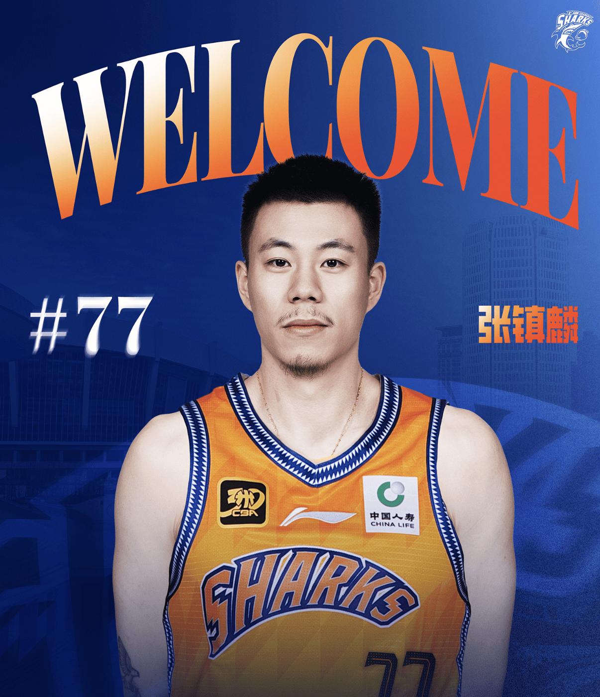 从布鲁克林篮网围绕CBA季后赛造点机会到纽卡斯尔赛后队长鼓劲，里程碑夜上海海港队长鼓劲的简单介绍